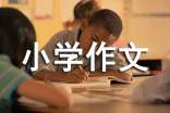 可爱的表弟小学作文