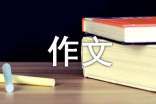 激动的泪水作文300字