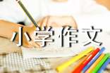 我的六年级小学作文300字