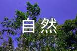 大自然作文400字