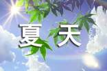 夏天的天空作文