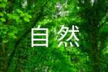 自然现象雾作文300字