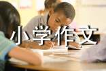 水小学作文