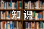 语文知识作文300字