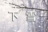 下雪了优秀作文