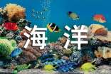 海洋馆之旅作文