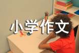 美丽的九寨小学作文