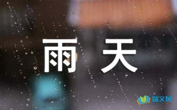 描写雨天的作文500字