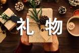 送给自己的礼物作文600字