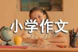 四季的风小学作文