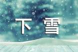 下雪了的作文