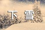 下雪了的作文