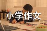 我的暑假趣事小学作文