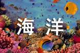 在碎片化的海洋中“旅行”作文800字