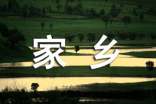 我爱家乡600字作文 美丽的杭州