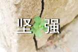 坚强小草作文400字