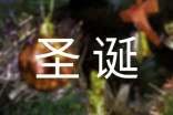 三年级圣诞作文300字