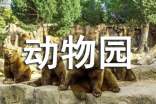 游北京动物园作文