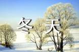 广州的冬天作文