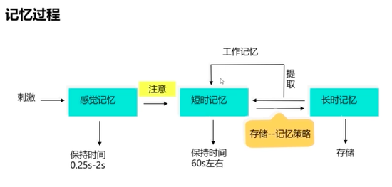 为什么他们能考进清华？掌握这个方法你也能逆袭当学霸