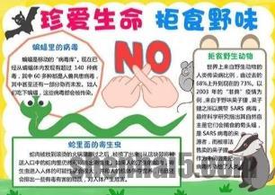 抗击疫情致敬生命手抄报简单好看