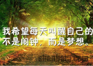 阳光简短励志唯美句子