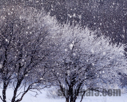 形容大雪纷飞的句子